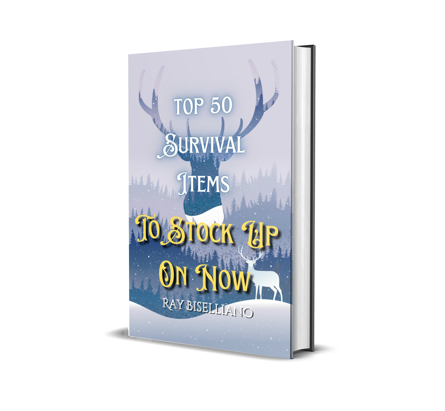 winter 2022 - survival ebook - 3d book cover - free markup